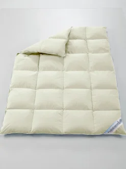 Bett
