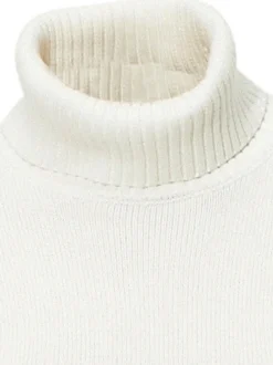 Rollkragenpullover mit Kaschmir-Anteil